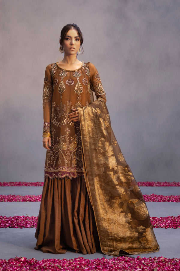 3 Piece Stitched Embroidery Organza Suit - Ready To Wear