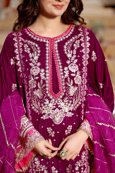 3 Piece Stitched Embroidered Velvet Suit - Ready To Wear