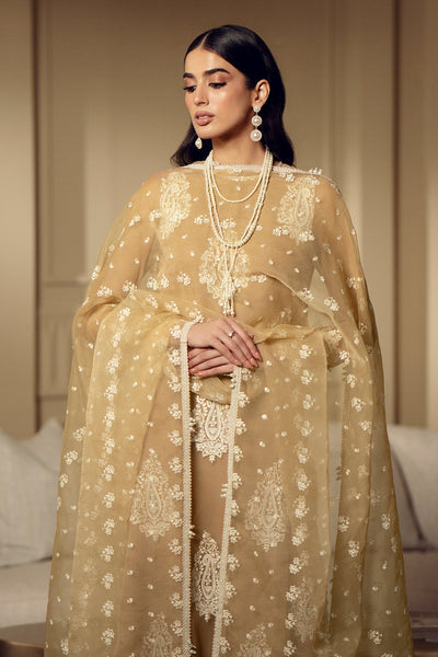 Biscuit Gold & Ivory: Embroidered Chiffon Suit With Malai Trouser | Ready To Wear