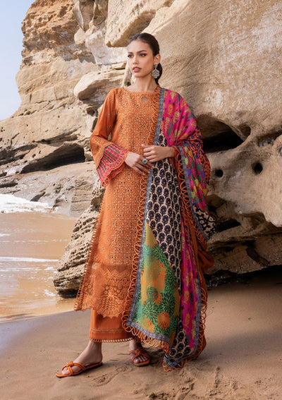 3 Piece Stitched Chikankari Suit - Ready To Wear