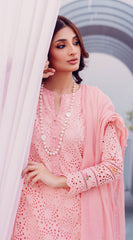 3 Piece Stitched Lawn Suit - Ready To Wear