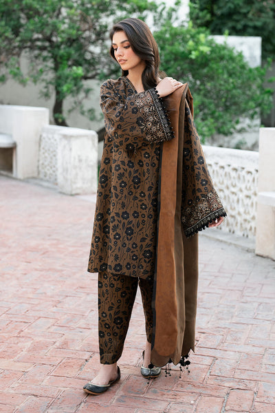 3 Piece Stitched Embroidery Dhanak Suit - Ready To Wear