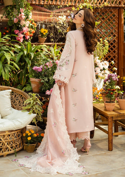 3 Piece Stitched Chikankari Suit - Ready To Wear