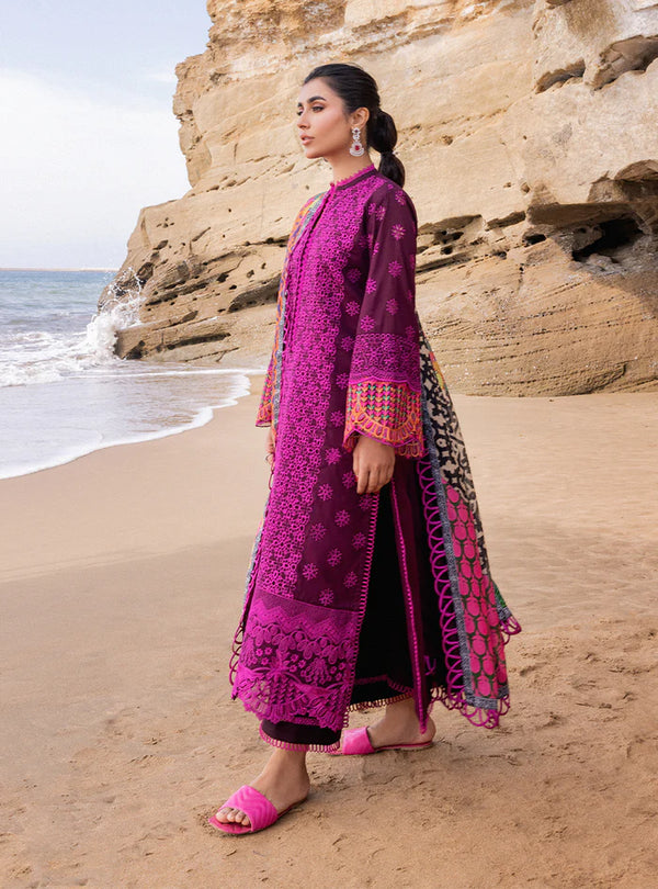 3 Piece Stitched Chikankari Suit - Ready To Wear