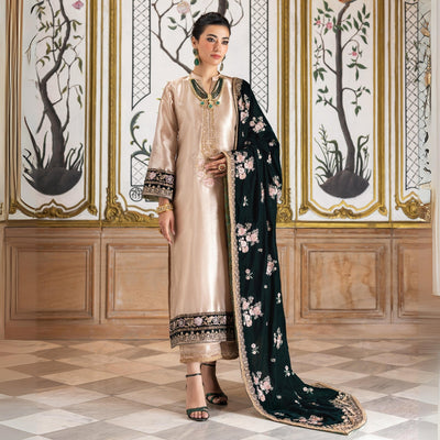 3 Piece Stitched Velvet Suit - Ready To Wear