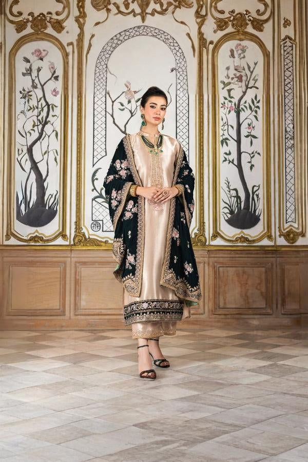 3 Piece Stitched Velvet Suit - Ready To Wear