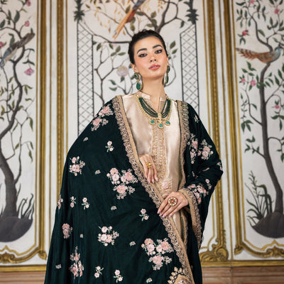 3 Piece Stitched Velvet Suit - Ready To Wear