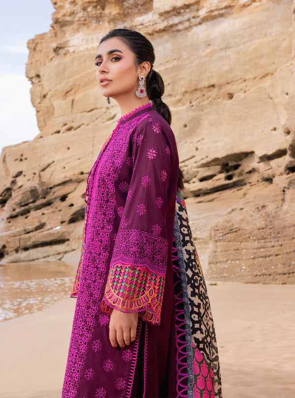 3 Piece Stitched Chikankari Suit - Ready To Wear