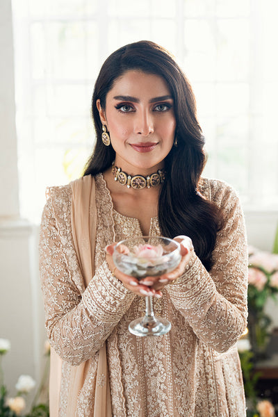 3 Piece Stitched Embroidery Chiffon Suit - Ready To Wear