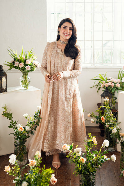 3 Piece Stitched Embroidery Chiffon Suit - Ready To Wear