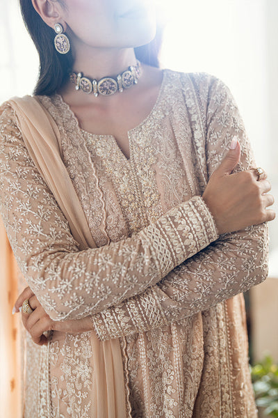 3 Piece Stitched Embroidery Chiffon Suit - Ready To Wear