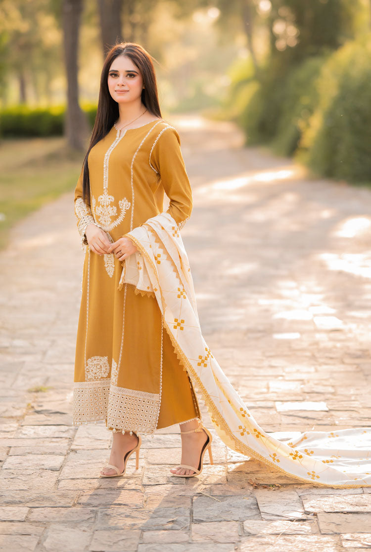 3 Piece Stitched Dhanak Suit - Ready To Wear