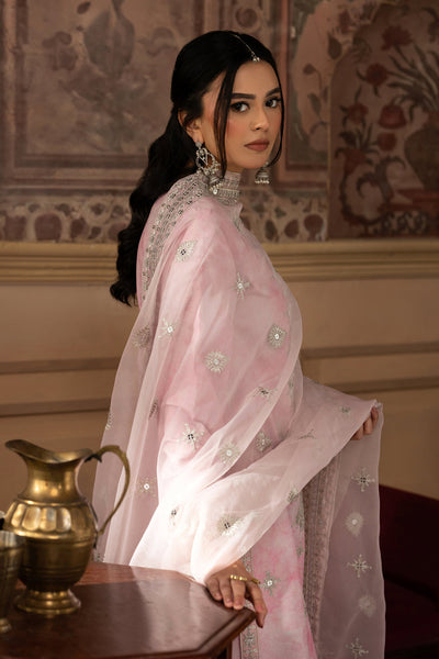 3 Piece Stitched Lawn Silk Suit - Ready To Wear