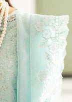 Ice Blue Elegance _ Embroidered Lawn Suit | Ready To Wear
