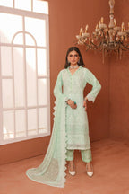 Chiffon Trio Ready-to-Wear