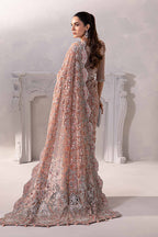 Stitched Saare - Ready To Wear