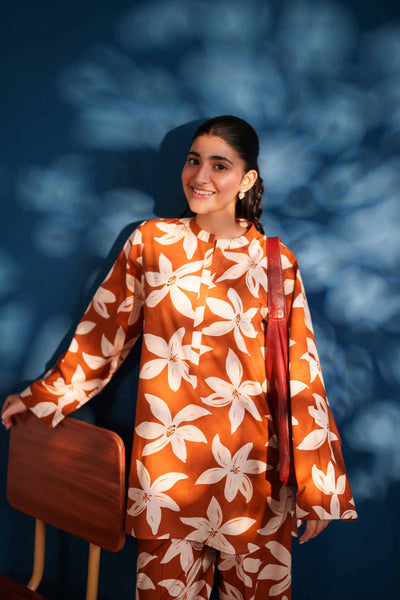 2 Piece Stitched Cotton Suit - Ready To Wear