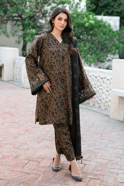 3 Piece Stitched Embroidery Dhanak Suit - Ready To Wear