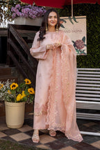 3 Piece Stitched Embroidered Lawn Suit - Ready To Wear
