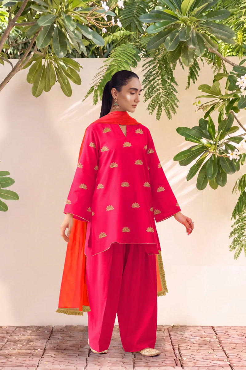 HANIYA - PINK FARSHI SET