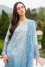 3 Piece Stitched Lawn Suit - Ready To Wear