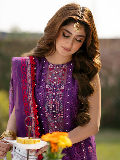 3 Piece Stitched Chikankari Suit - Ready To Wear