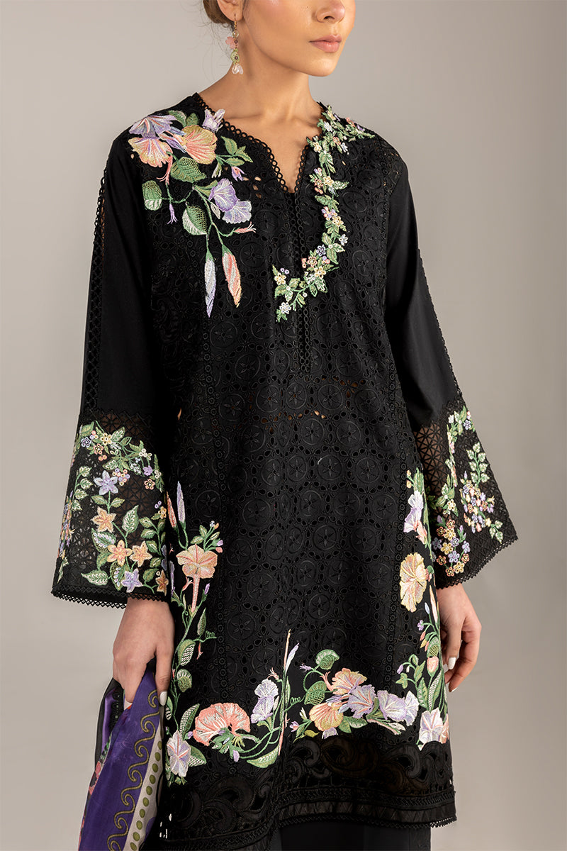 3 Piece Stitched Chikankari Embroidery Suit - Ready To Wear